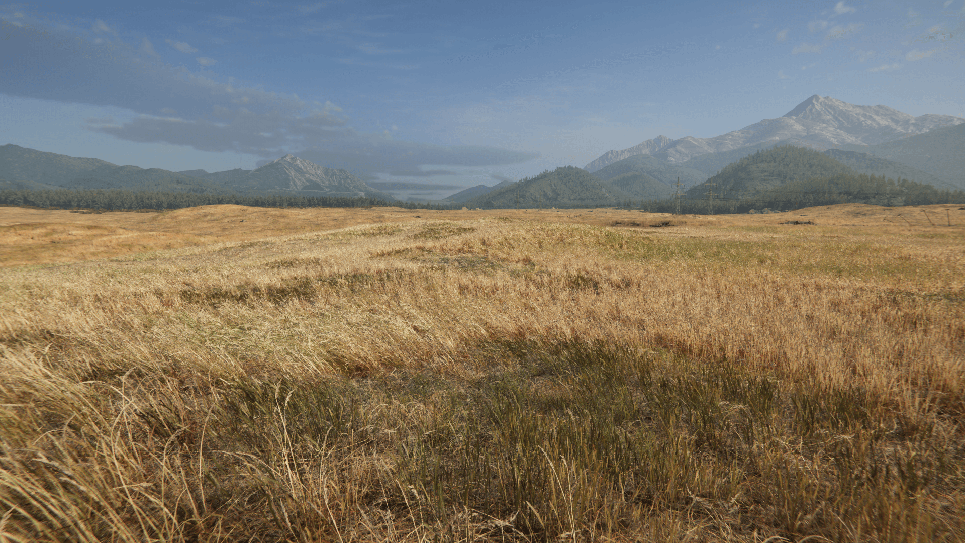 Scène d'environnement